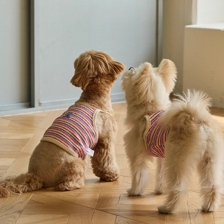 ※予約販売【andblank】A Stitch Stripe Crop Top（Pink）
