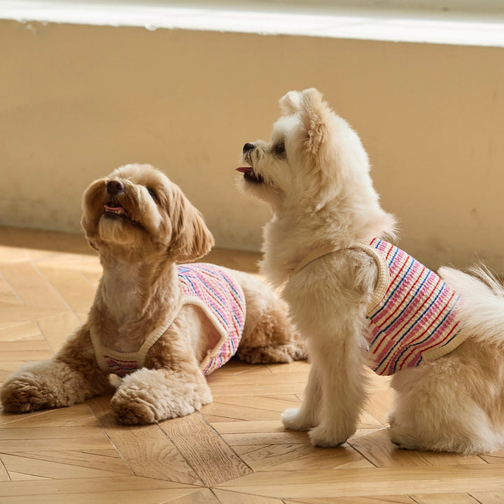 ※予約販売【andblank】A Stitch Stripe Crop Top（Pink）