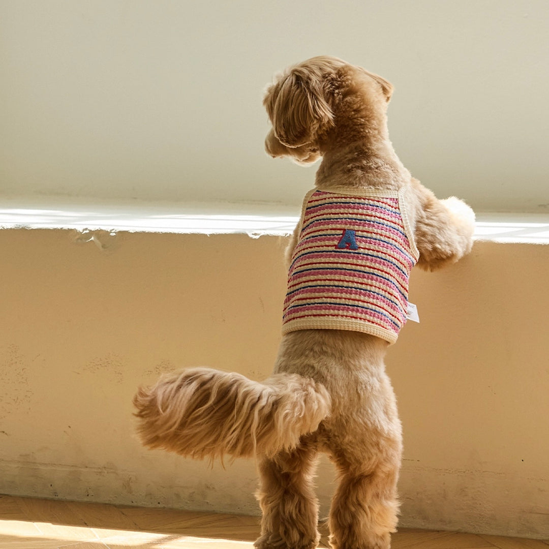 ※予約販売【andblank】A Stitch Stripe Crop Top（Pink）