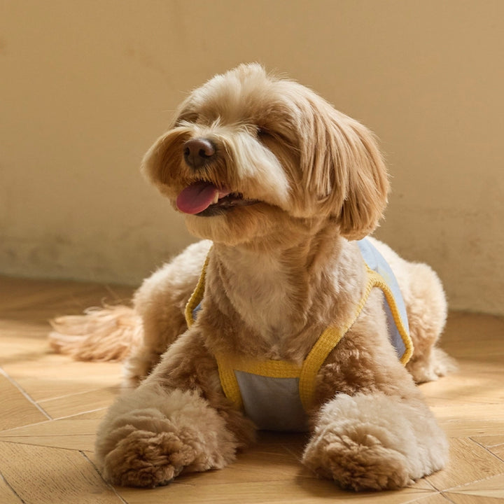 ※予約販売【andblank】Sunny Joy Bear Crop Top
