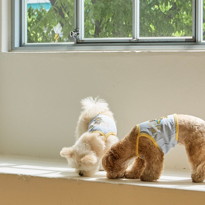 ※予約販売【andblank】Sunny Joy Bear Crop Top