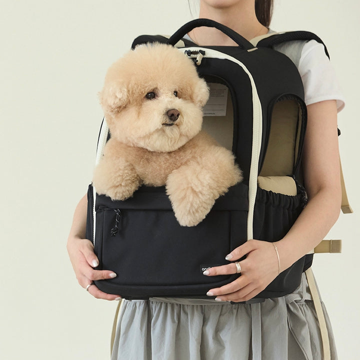 ※予約販売【andblank】Day Back Pack v3｜犬用バッグ