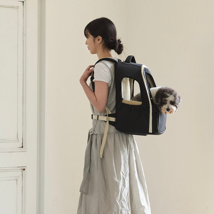 ※予約販売【andblank】Day Back Pack v3｜犬用バッグ
