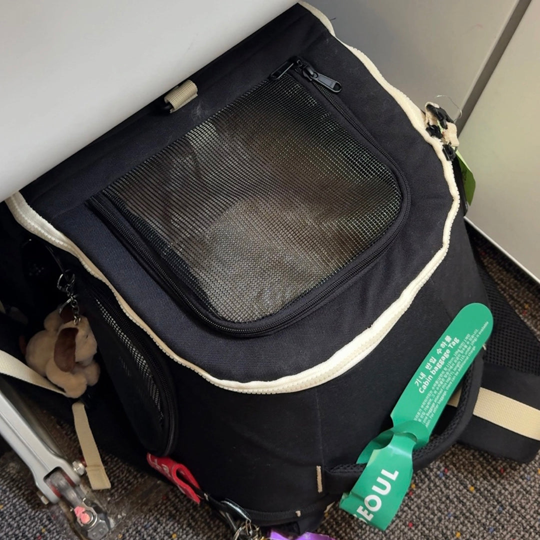 ※予約販売【andblank】Day Back Pack v3｜犬用バッグ