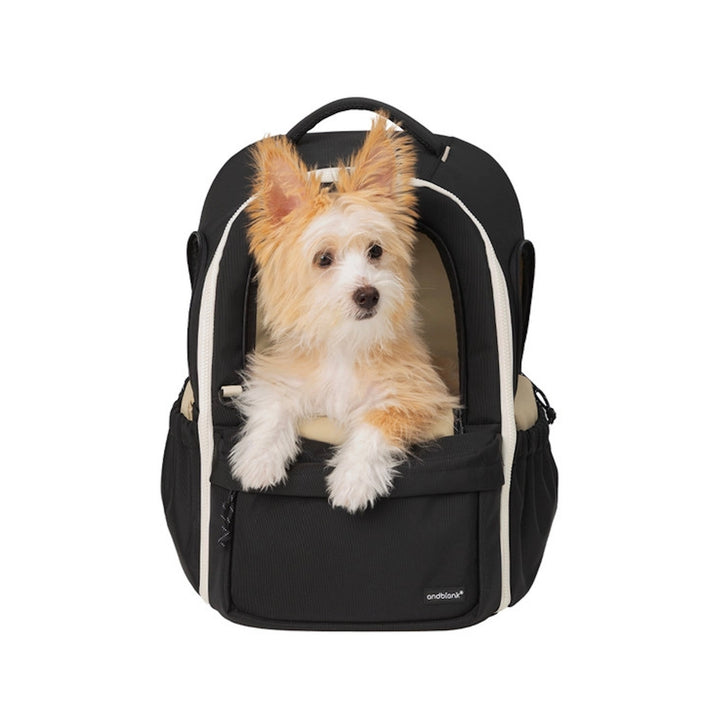 ※予約販売【andblank】Day Back Pack v3｜犬用バッグ