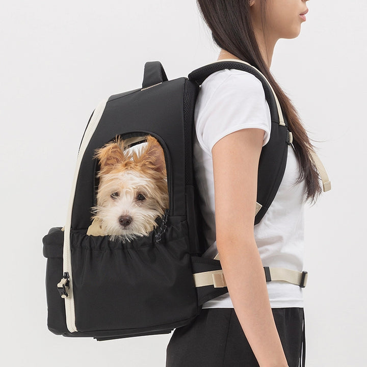 ※予約販売【andblank】Day Back Pack v3｜犬用バッグ