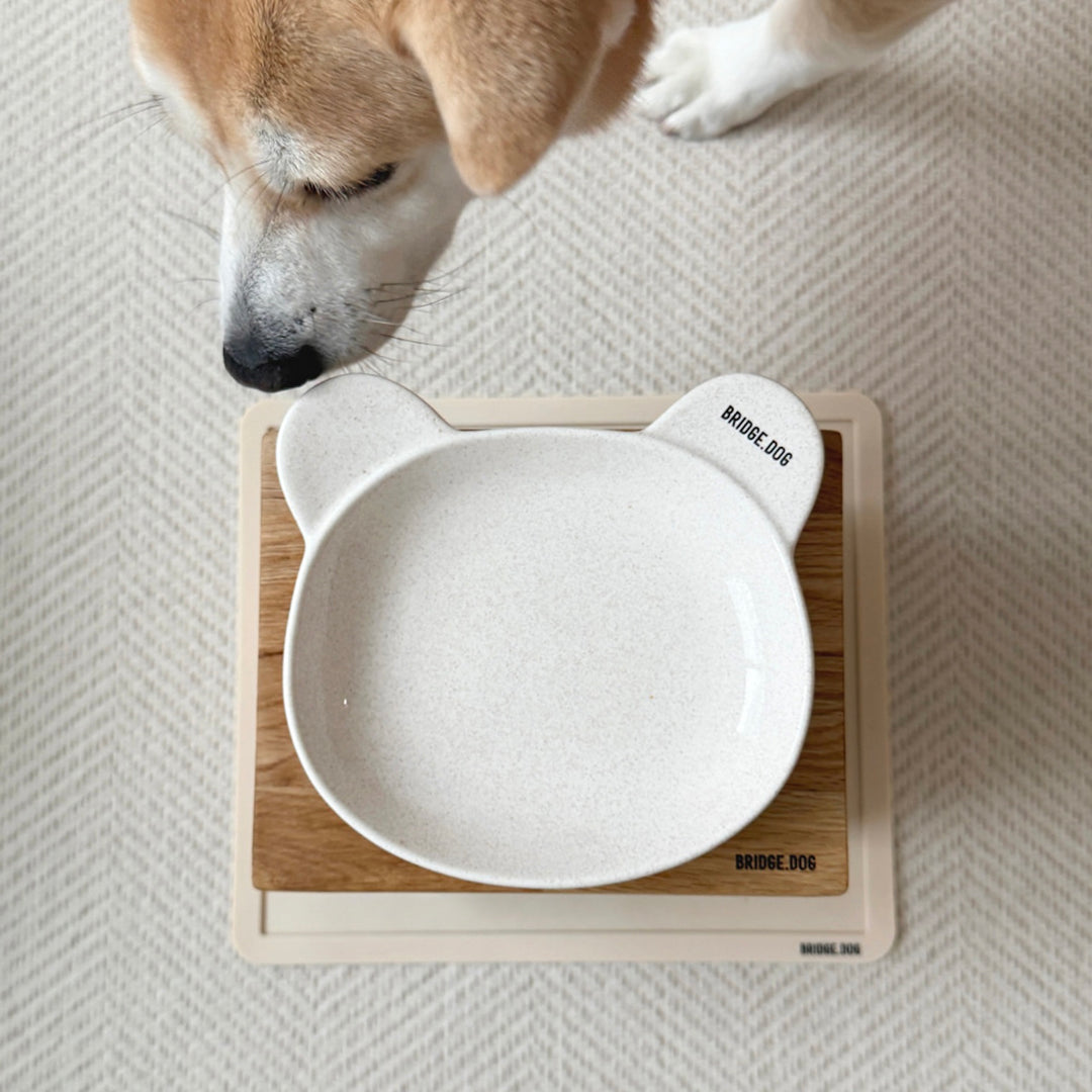 即納【BRIDGE.DOG】COZY BEAR（LATTE）
