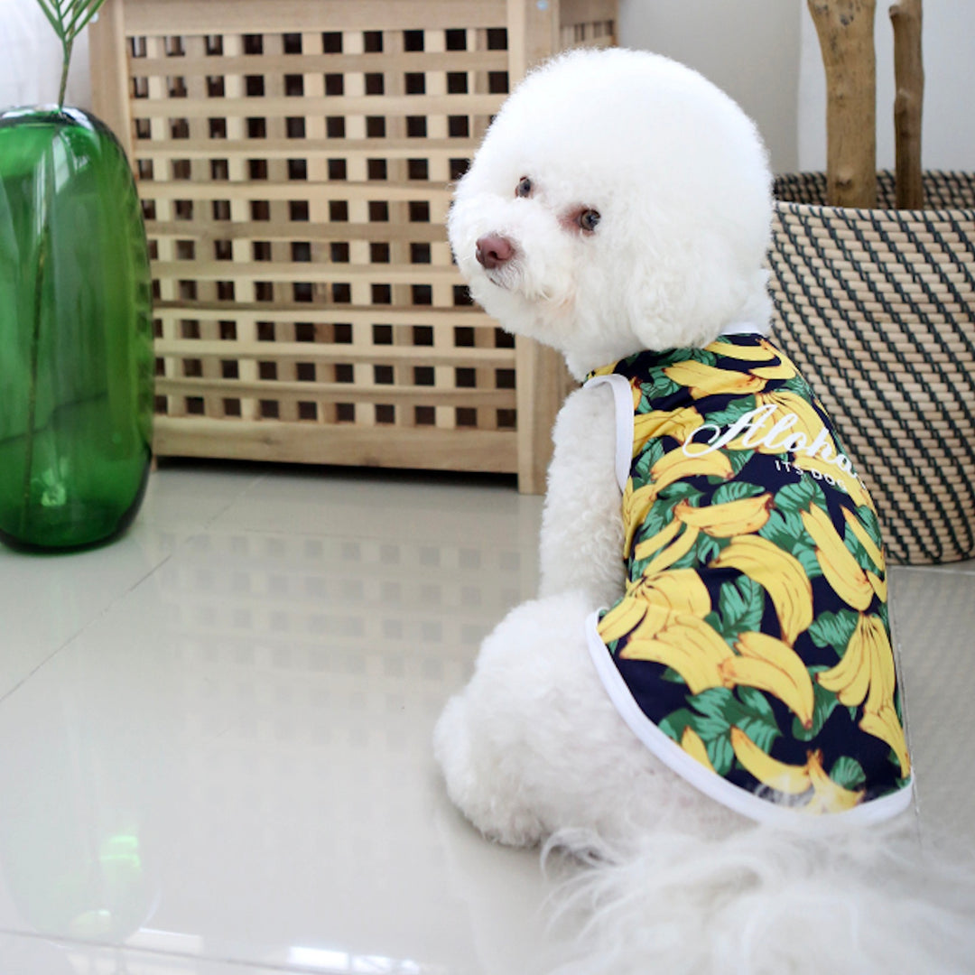 ※予約販売【ITS DOG】Aloha Rash Guard（Banana）