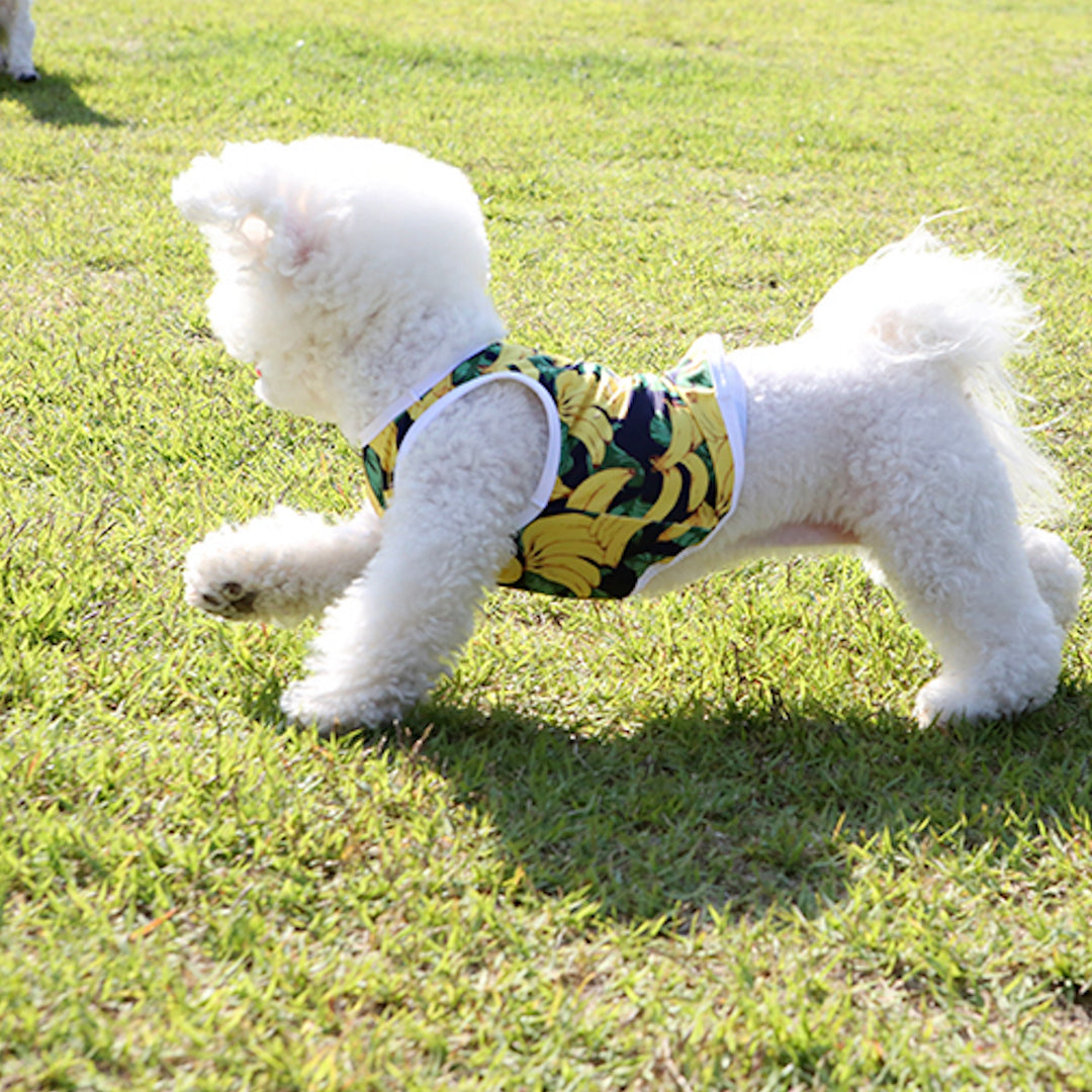 ※予約販売【ITS DOG】Aloha Rash Guard（Banana）