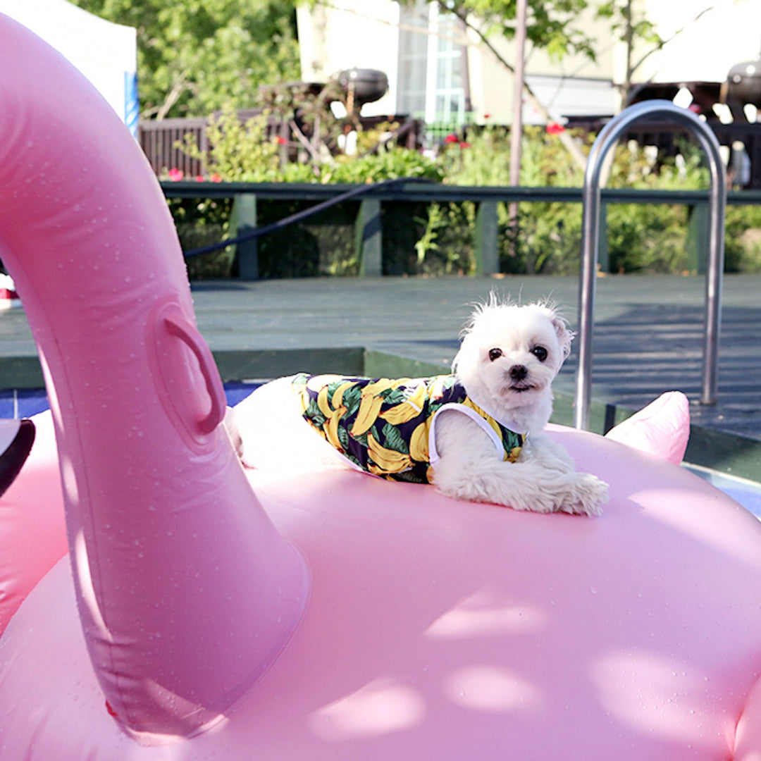 ※予約販売【ITS DOG】Aloha Rash Guard（Banana）