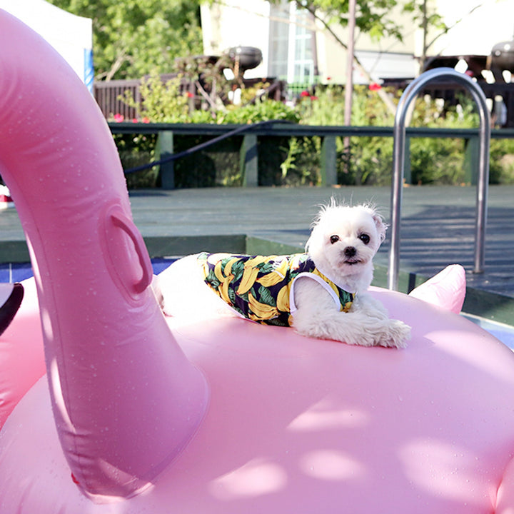 ※予約販売【ITS DOG】Aloha Rash Guard（Banana）