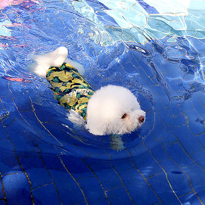 ※予約販売【ITS DOG】Aloha Rash Guard（Banana）