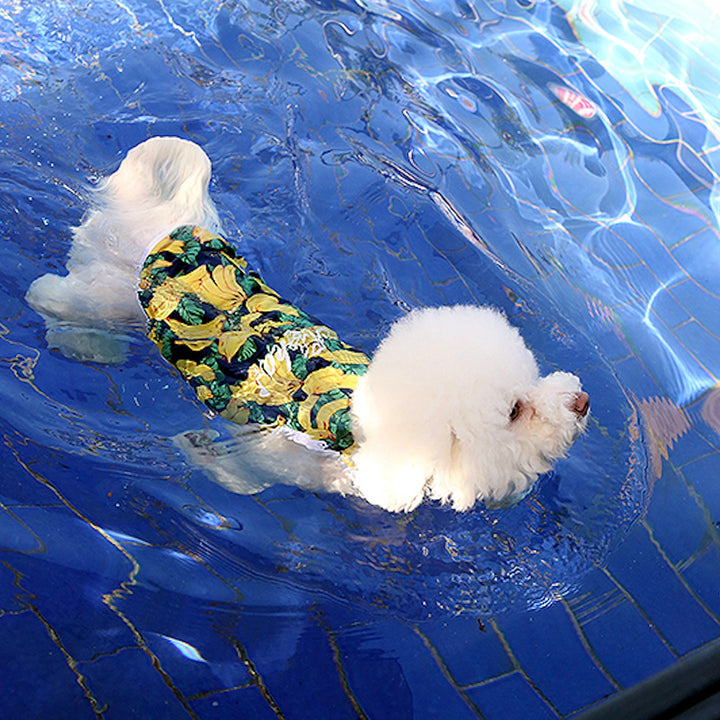 ※予約販売【ITS DOG】Aloha Rash Guard（Banana）