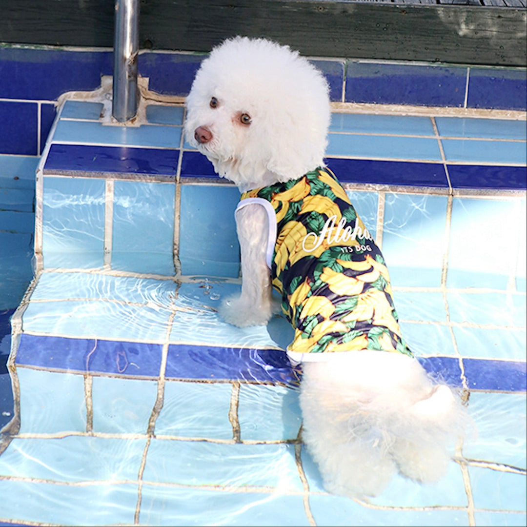 ※予約販売【ITS DOG】Aloha Rash Guard（Banana）