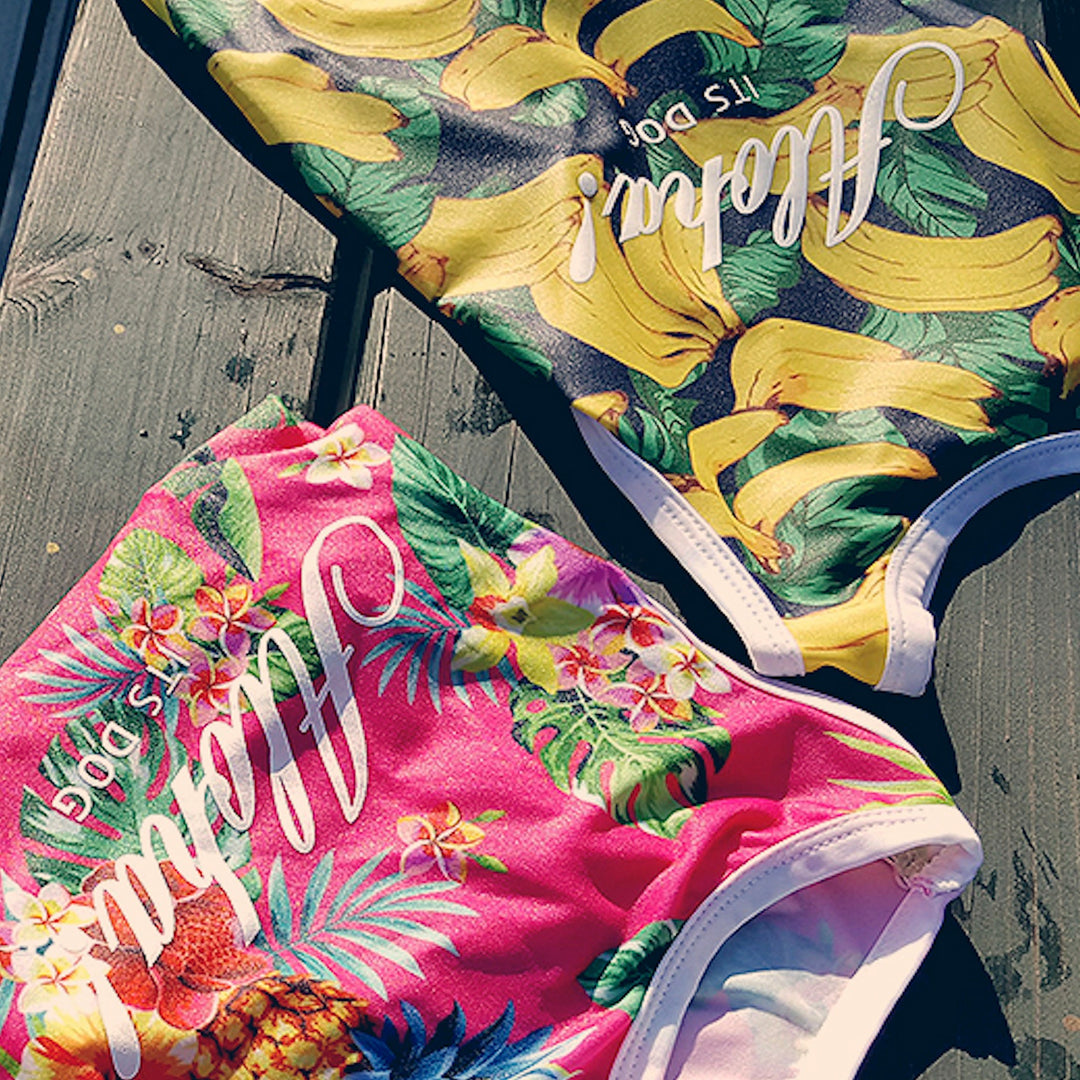 ※予約販売【ITS DOG】Aloha Rash Guard（Banana）