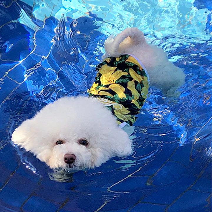 ※予約販売【ITS DOG】Aloha Rash Guard（Banana）