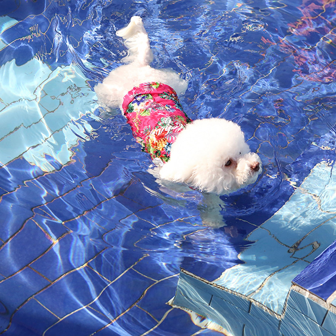 ※予約販売【ITS DOG】Aloha Rash Guard（Pink）