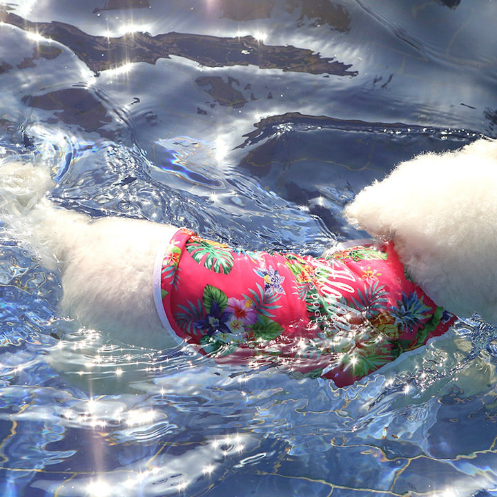 ※予約販売【ITS DOG】Aloha Rash Guard（Pink）