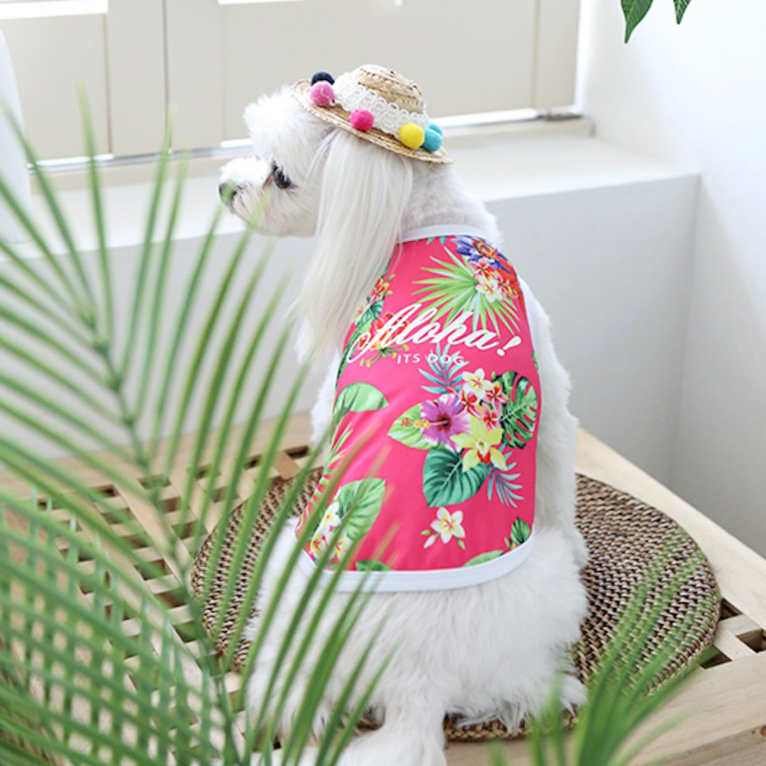 ※予約販売【ITS DOG】Aloha Rash Guard（Pink）