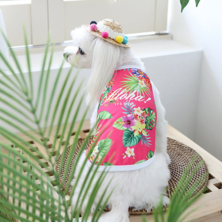 ※予約販売【ITS DOG】Aloha Rash Guard（Pink）