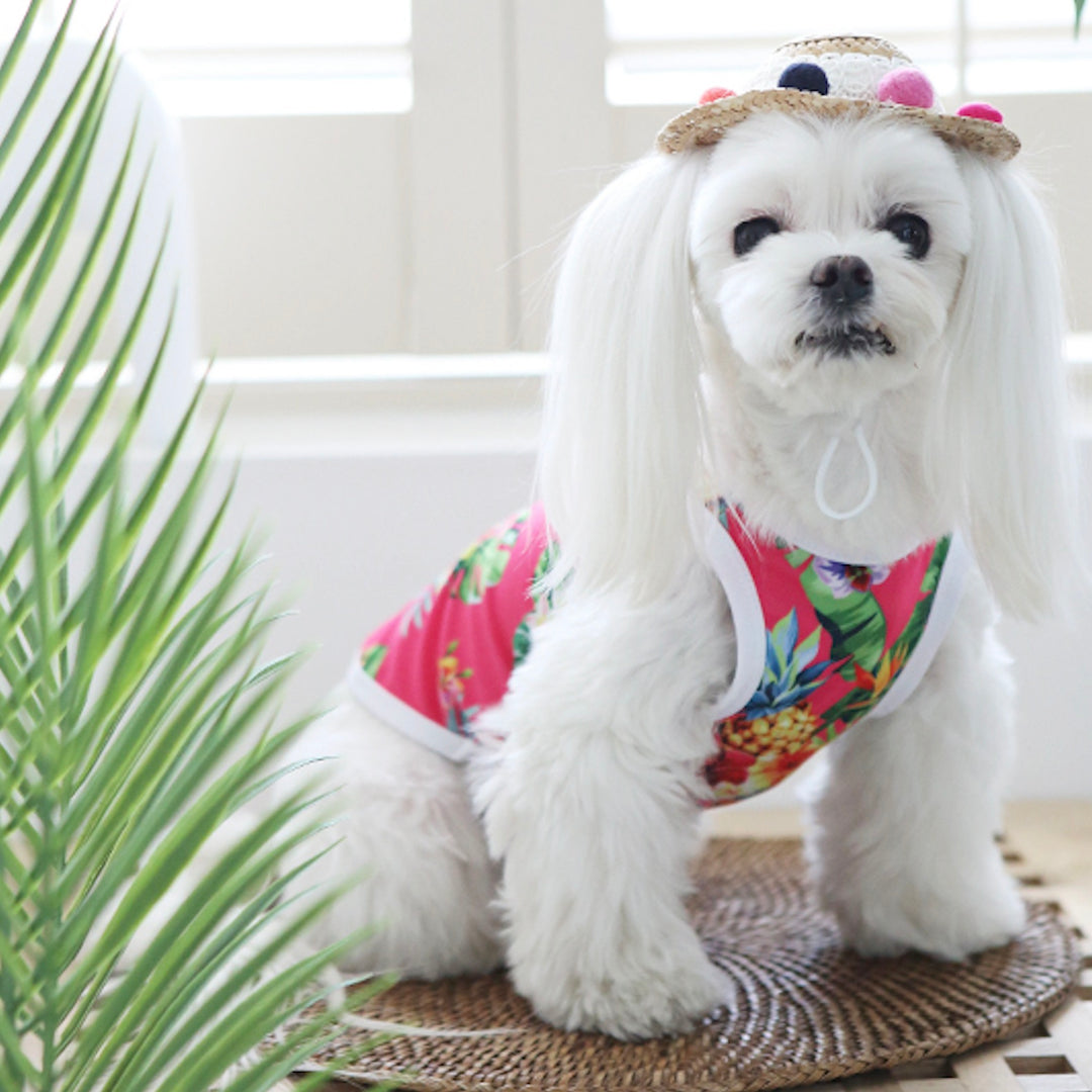 ※予約販売【ITS DOG】Aloha Rash Guard（Pink）