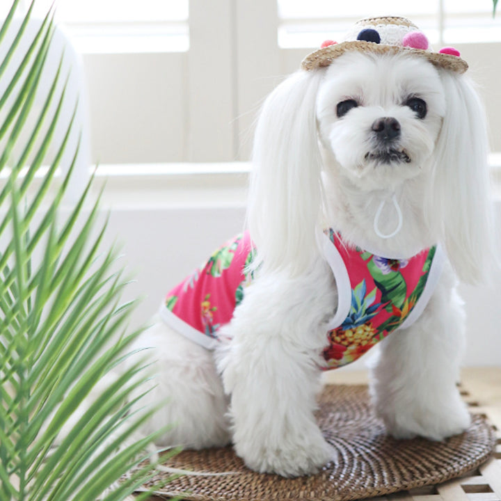 ※予約販売【ITS DOG】Aloha Rash Guard（Pink）