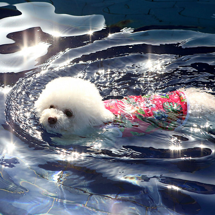 ※予約販売【ITS DOG】Aloha Rash Guard（Pink）