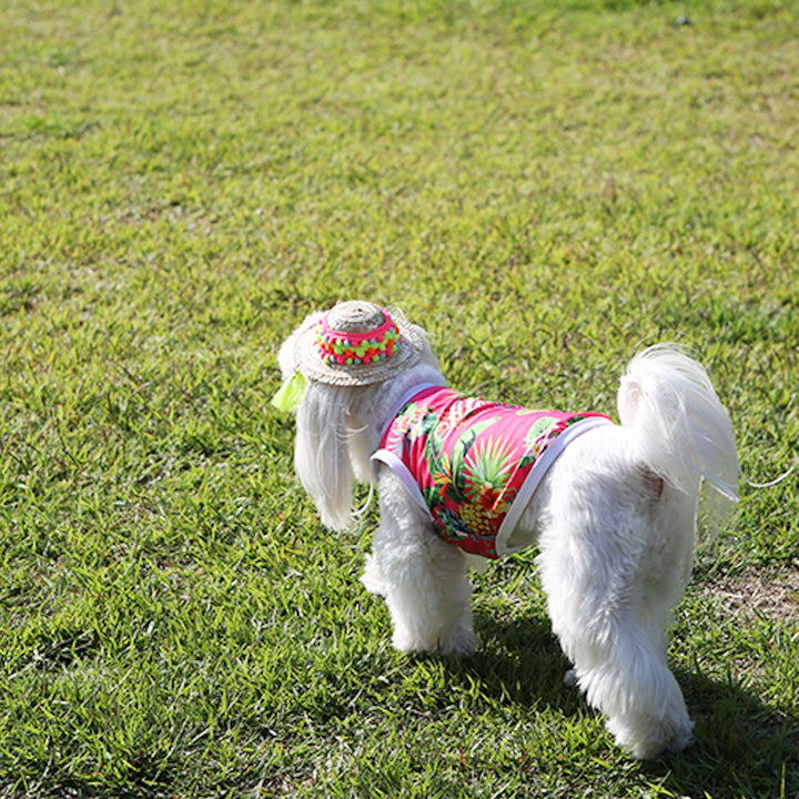 ※予約販売【ITS DOG】Aloha Rash Guard（Pink）