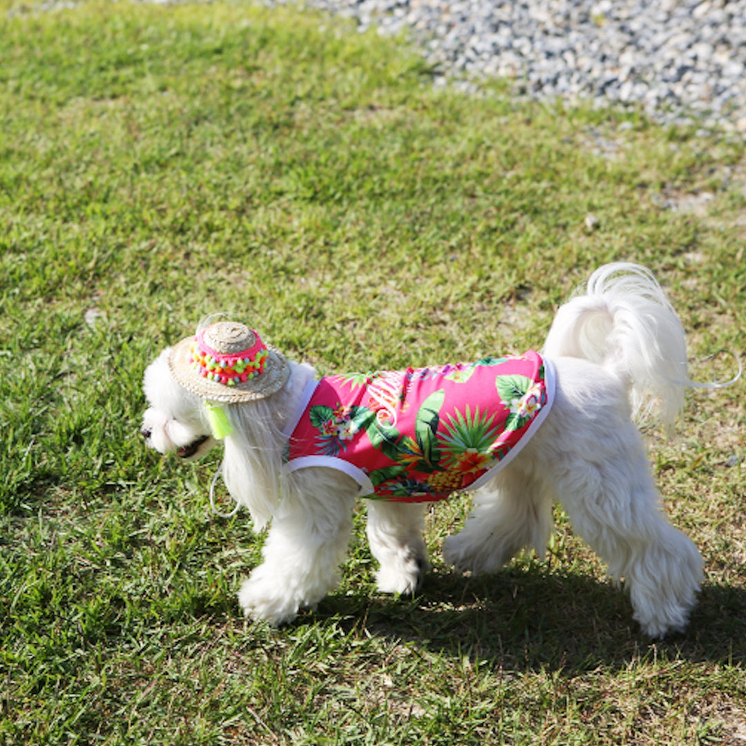 ※予約販売【ITS DOG】Aloha Rash Guard（Pink）
