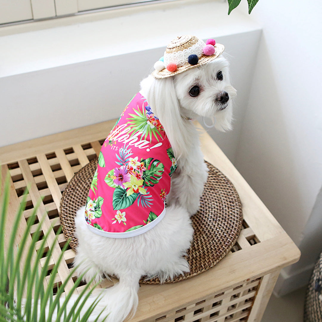 ※予約販売【ITS DOG】Aloha Rash Guard（Pink）