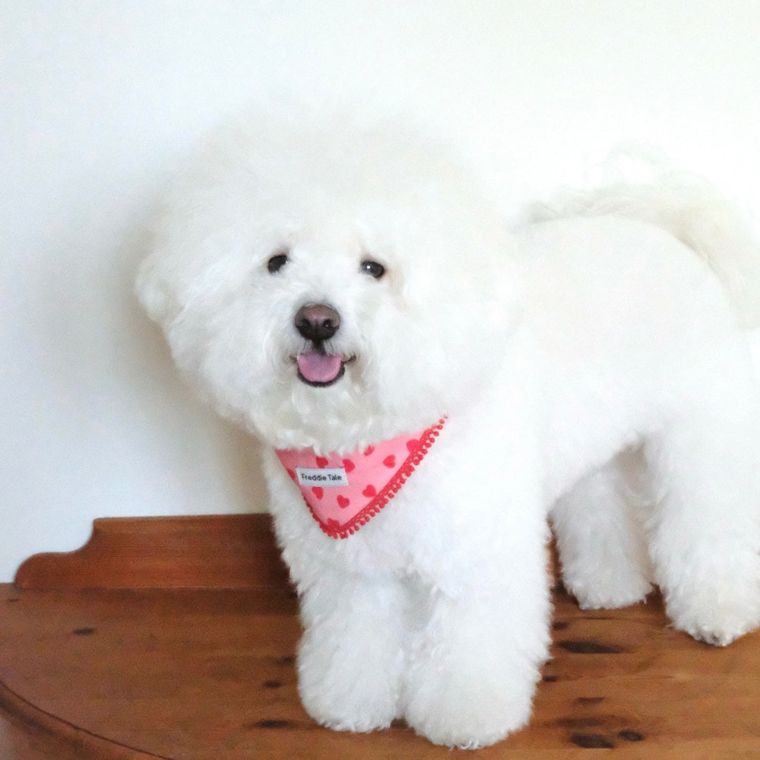 即納【FREDDIE TALE】LOVE Bandana（Pink）