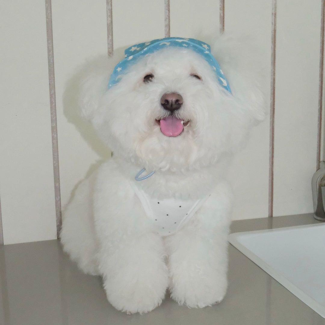 即納【FREDDIE TALE】Moonlight Star Bucket Hat