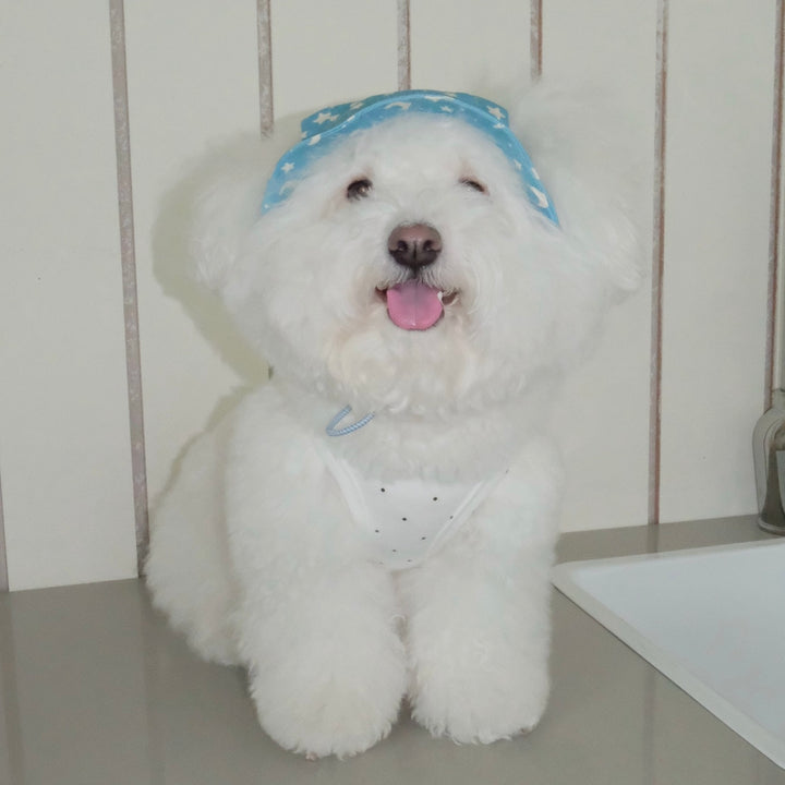 即納【FREDDIE TALE】Moonlight Star Bucket Hat
