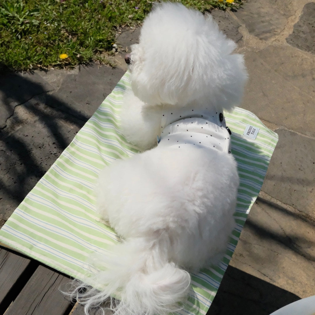 即納【FREDDIE TALE】Striped Blanket（Green）