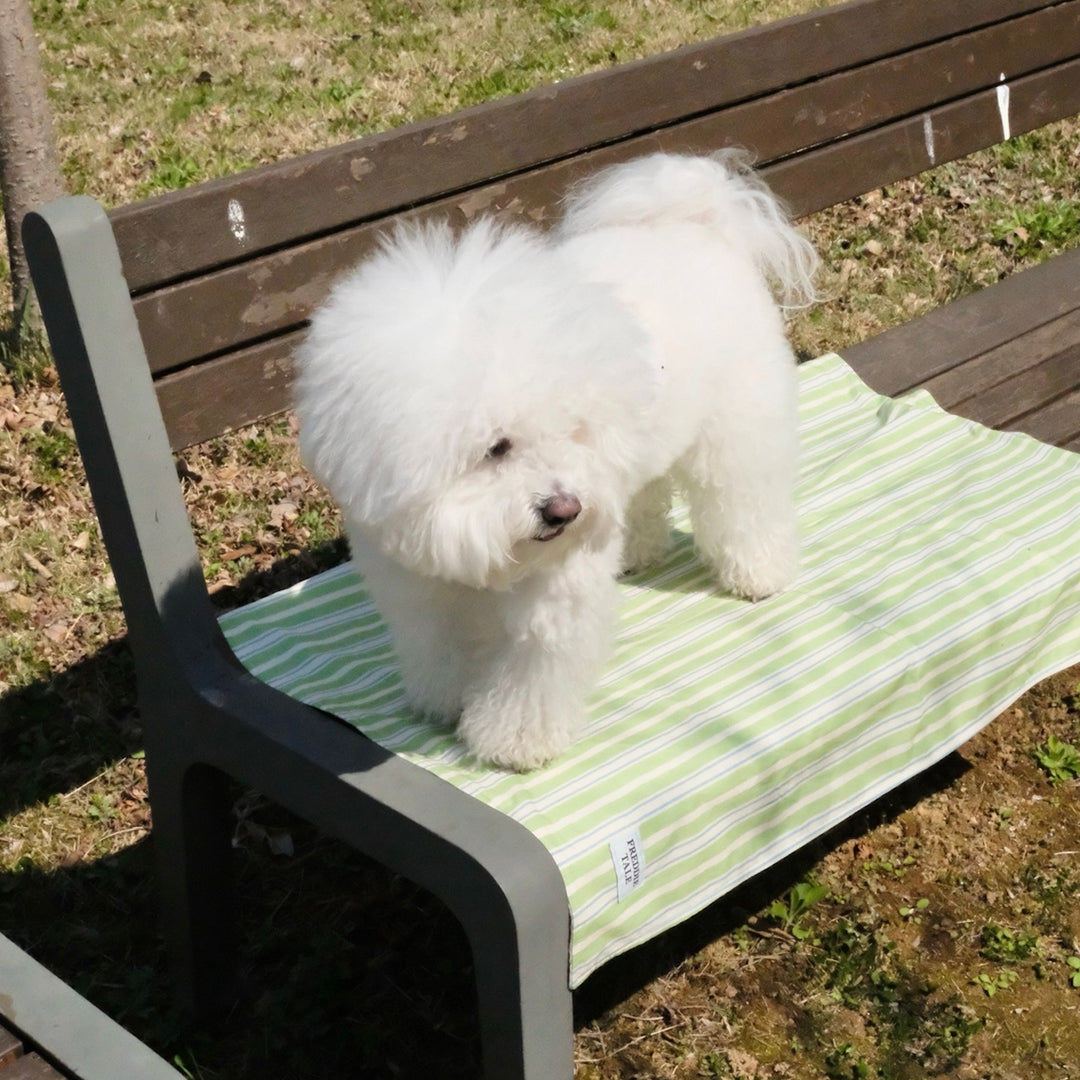 即納【FREDDIE TALE】Striped Blanket（Green）