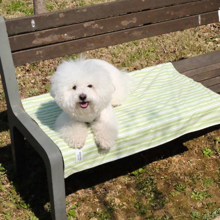即納【FREDDIE TALE】Striped Blanket（Green）