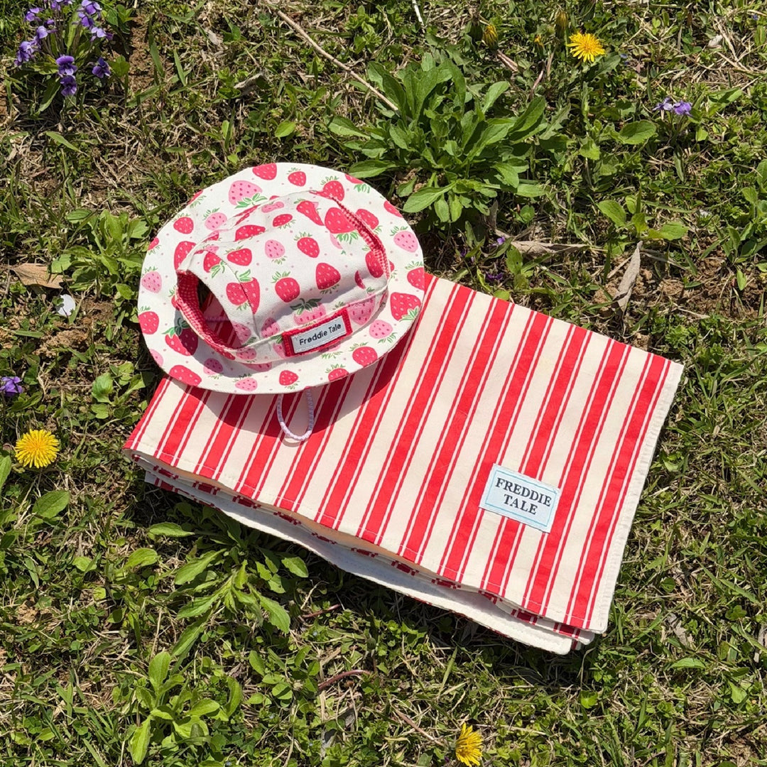即納【FREDDIE TALE】Striped Blanket（Red）