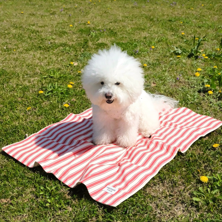 即納【FREDDIE TALE】Striped Blanket（Red）
