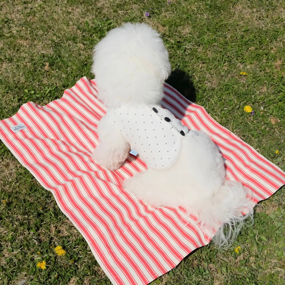 即納【FREDDIE TALE】Striped Blanket（Red）