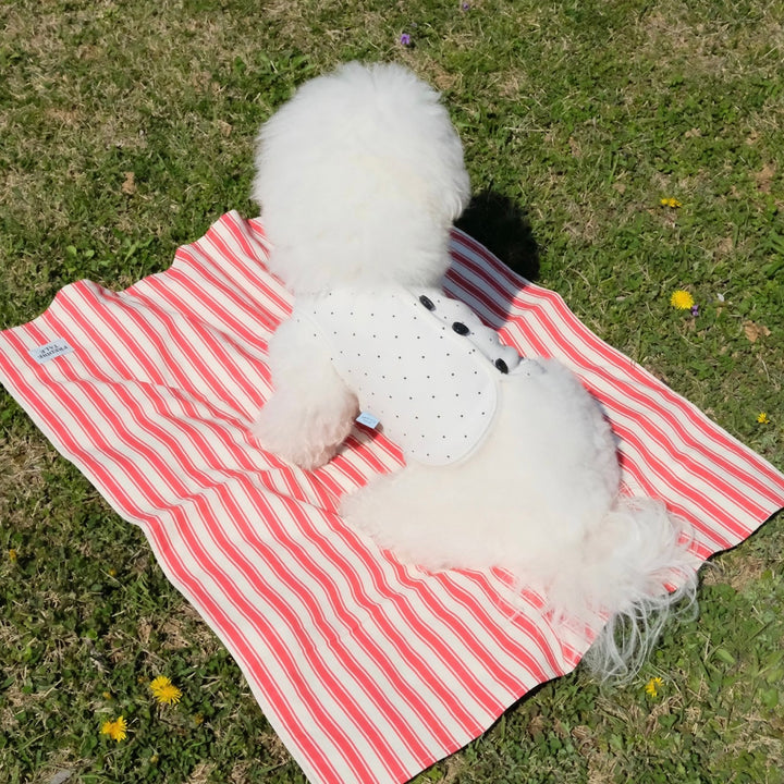 即納【FREDDIE TALE】Striped Blanket（Red）
