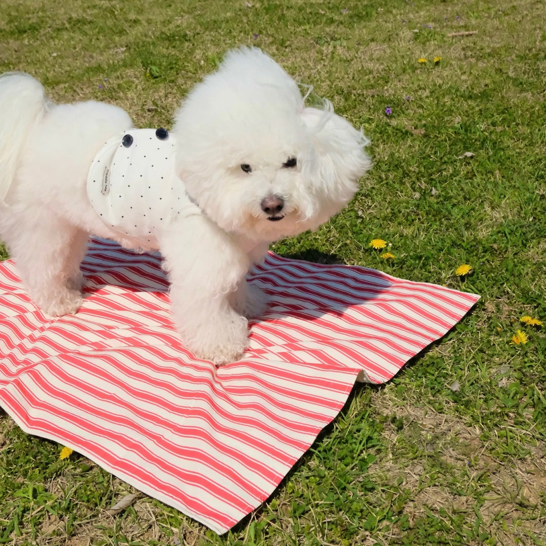 即納【FREDDIE TALE】Striped Blanket（Red）