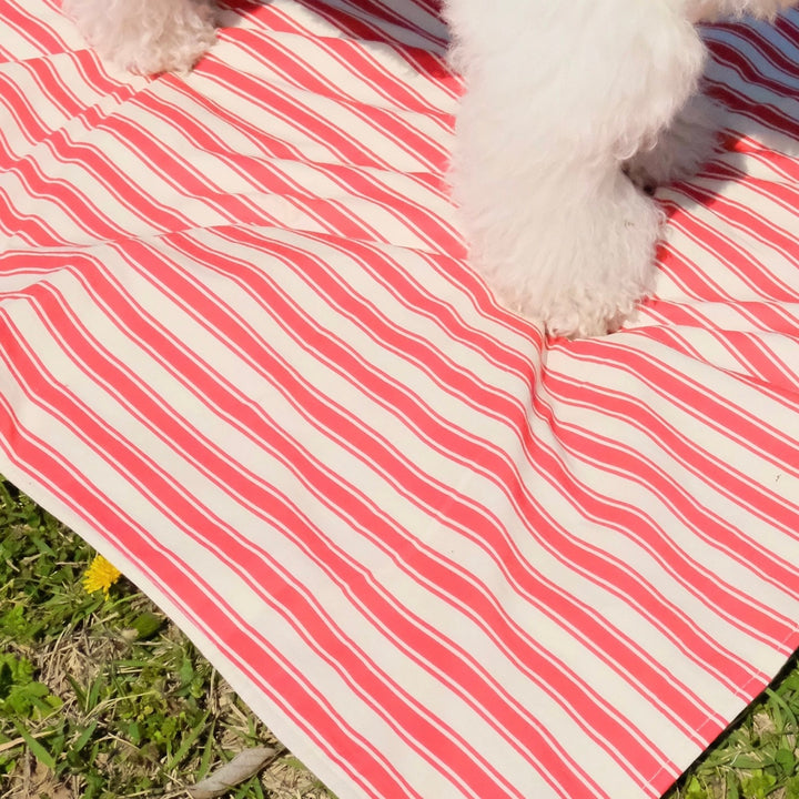 即納【FREDDIE TALE】Striped Blanket（Red）
