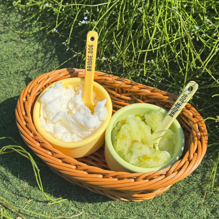 即納【BRIDGE.DOG】DOG SI RAK - SNACK BOWL（GREEN / YELLOW）（100ml）