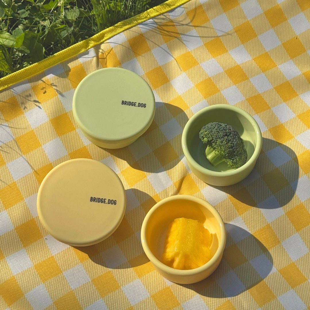 即納【BRIDGE.DOG】DOG SI RAK - SNACK BOWL（GREEN / YELLOW）（100ml）