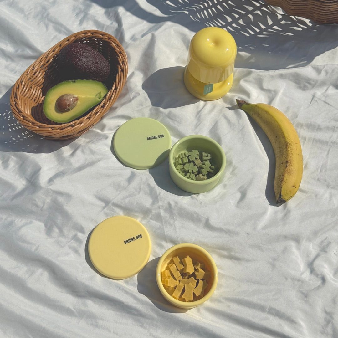 即納【BRIDGE.DOG】DOG SI RAK - SNACK BOWL（GREEN / YELLOW）（100ml）