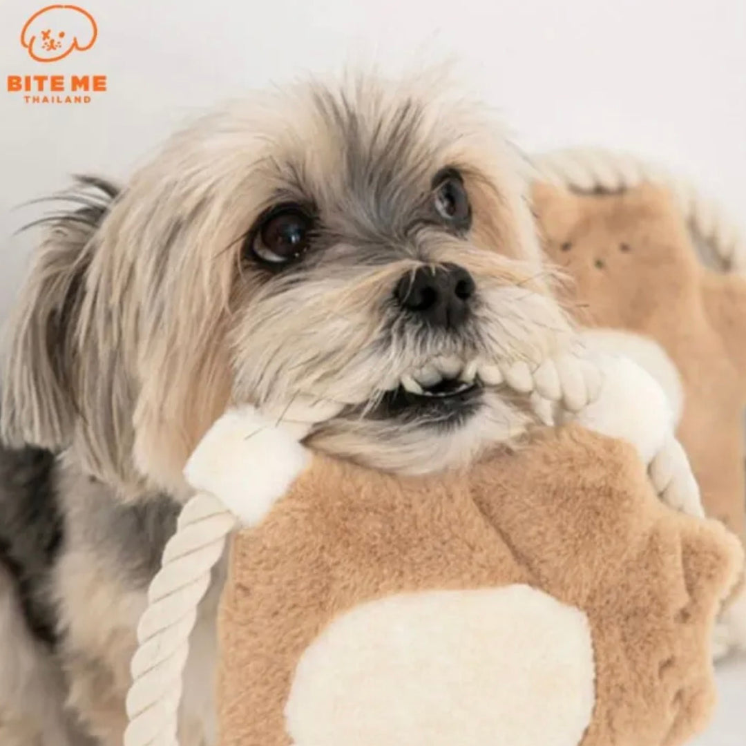 即納【BITE ME】Hug Me Rope Tug Toy - Flying squirrel