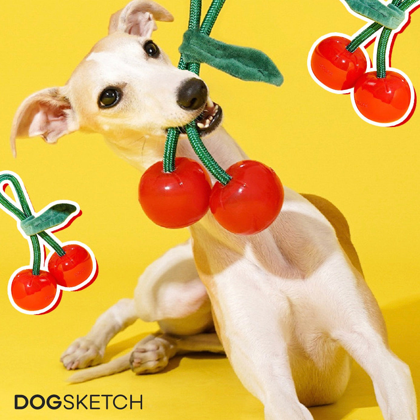 新着アイテム – URBAN DOG TOKYO