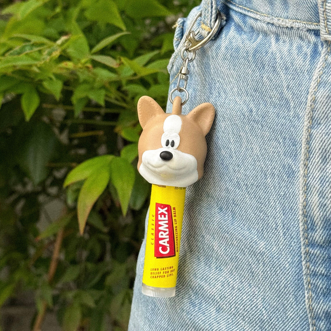 ※予約販売【CRR】Character Lip Cover（Welsh Corgi）