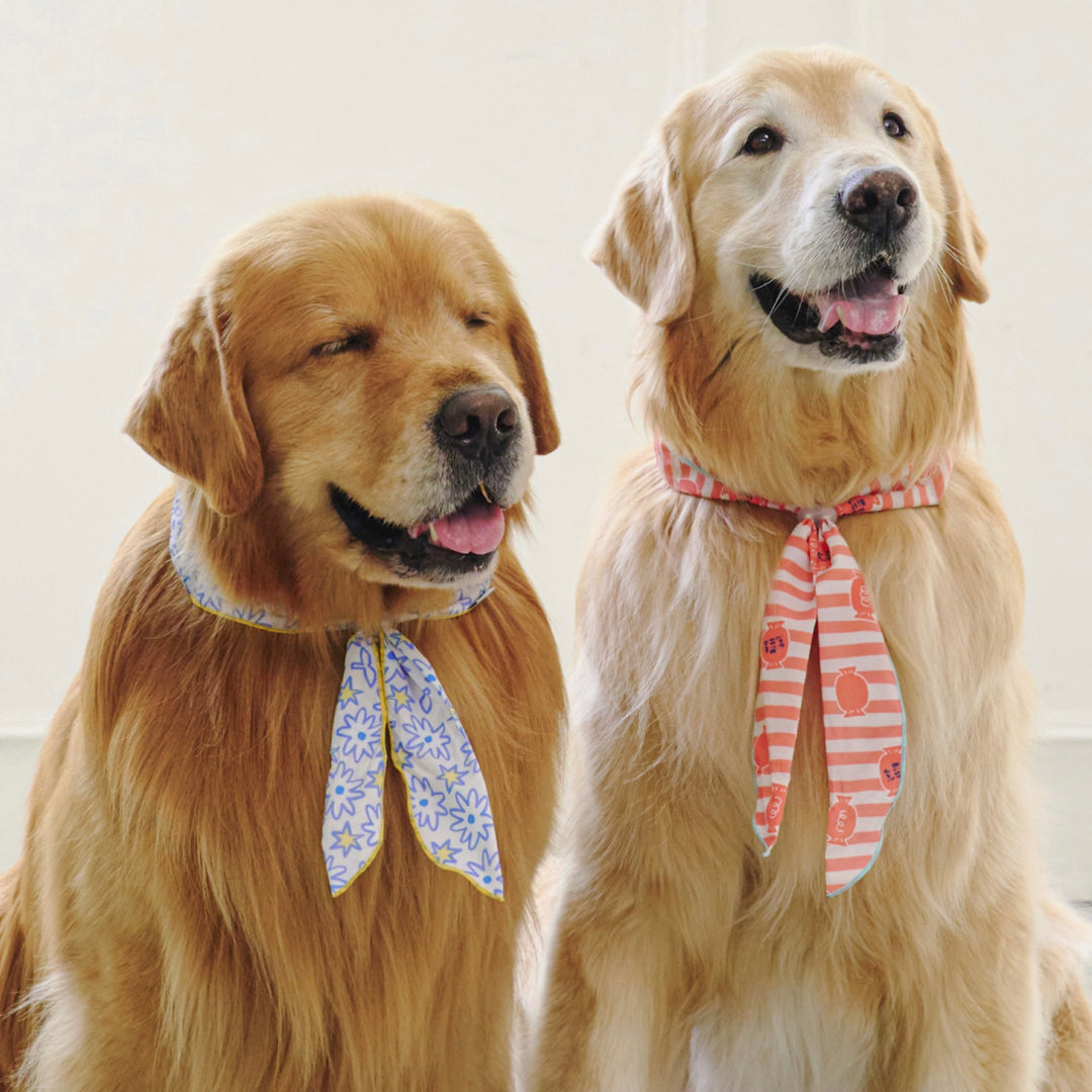 ※予約販売【munikund】COOL SCARF（Candy Orange）