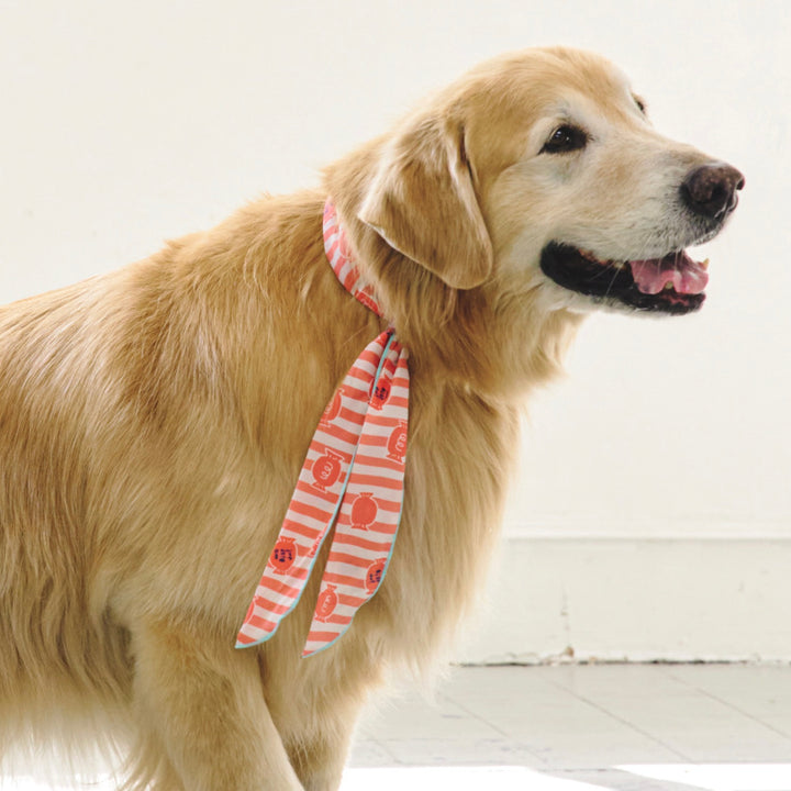 ※予約販売【munikund】COOL SCARF（Candy Orange）